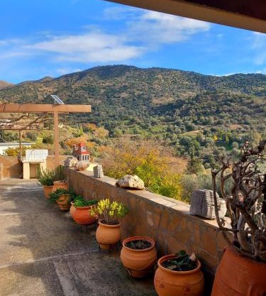 Cretan Oasis