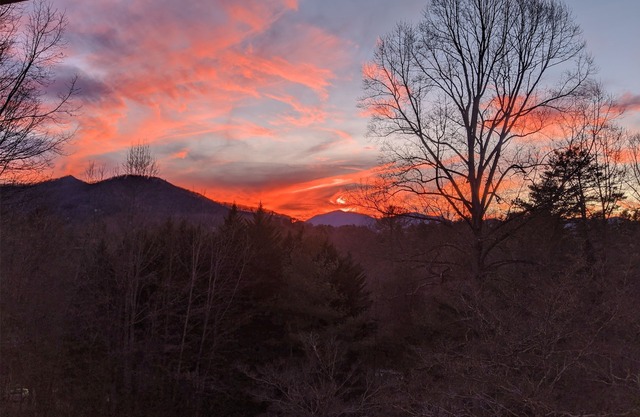 Critter Hill Studio Apt. cerca del centro de Asheville y de la Blue Ridge Parkway