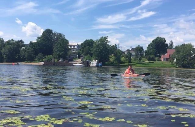 Cruise the St. John River
