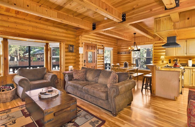 Cub's Cabin #2561