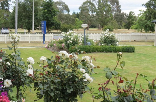 Culverden Court Motel