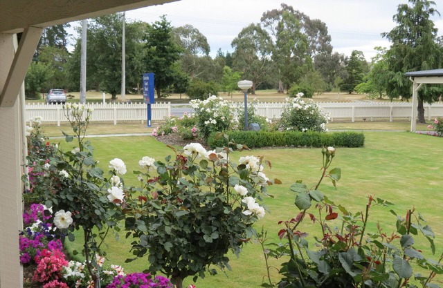 Culverden Court Motel