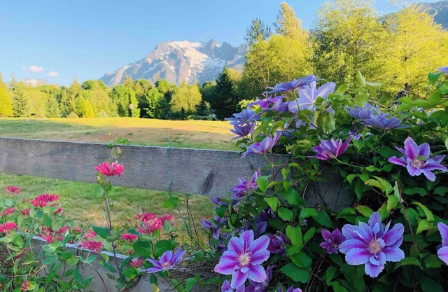 Custom country home, stunning 360 Cascade Mt views and Stilliguamish riverfront.