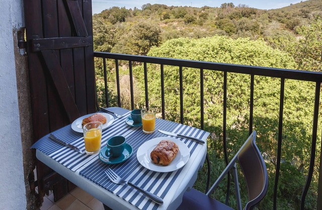 Cute Medieval Gabian Hideaway Gite with River and Vineyard Views