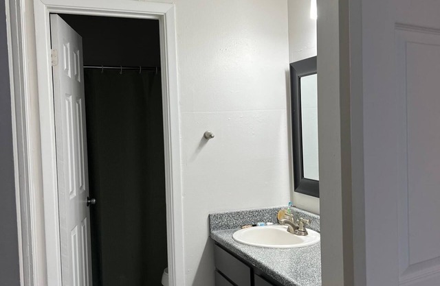 Cute Southern Austin rental (ideal traveling nurses)