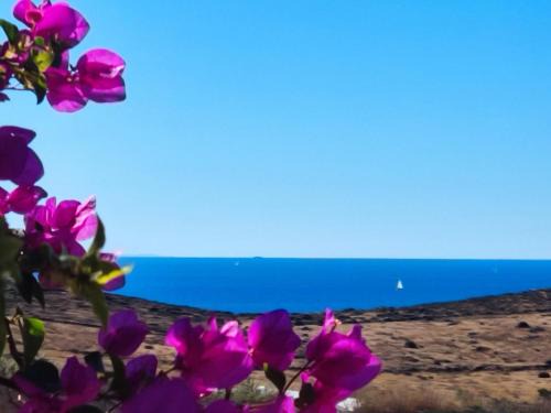 Cycladic Horizon View