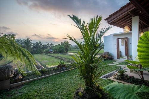 d'Bulih Villa Ubud by Prasi