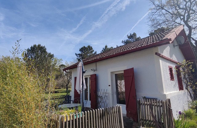 D&D La Maison des Écureuils, Animaux Bienvenus !