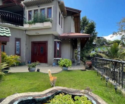 D lion villa