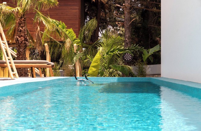 D Palm Premium Living