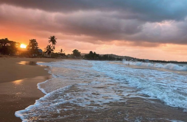 #D Tropical Rainforest Retreat Ocean View w/hottub
