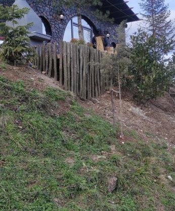 Dağevimsakarya
