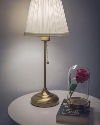 Da Alessia Per Dormire Al Coppedé