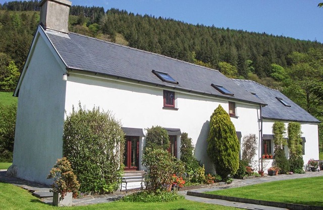 Dafarn Newydd, DINAS MAWDDWY