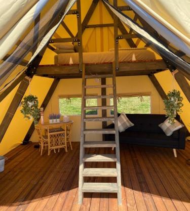 Daffodil Safari Tent