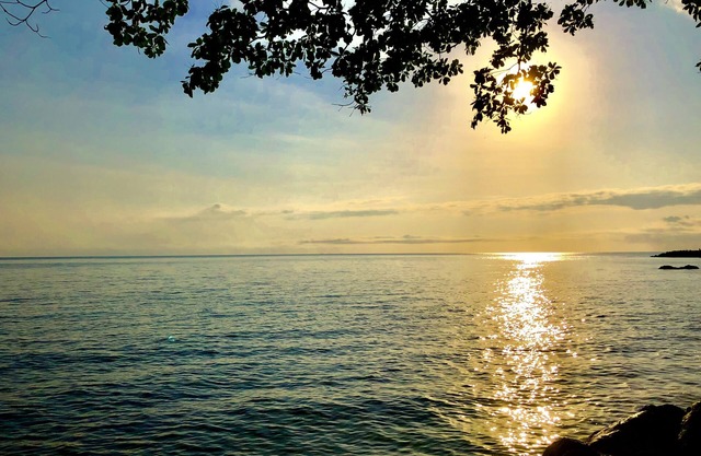 Daintree Manor Bed & Breakfast