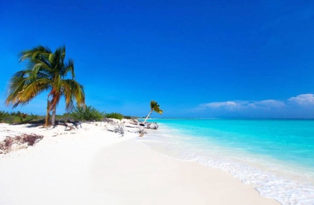 Daiquiri Varadero 3