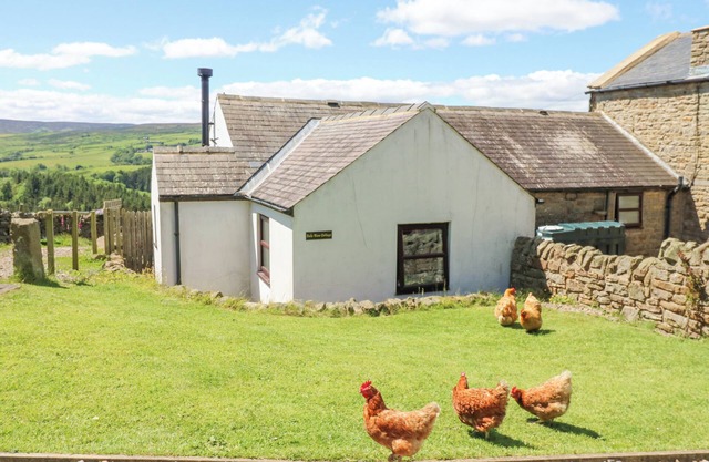Dale View Cottage, ALLENDALE