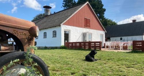 Dambækgaard Sustainable Farm