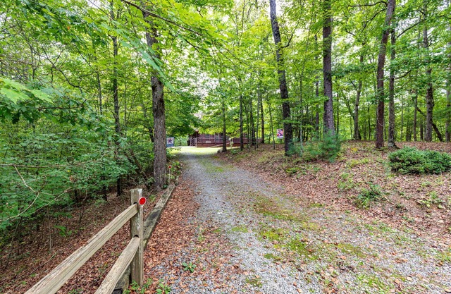 Dancing Bears Cabin - Secluded 3-Bedroom, 3.5-Bath Luxury Cabin with Hot Tub