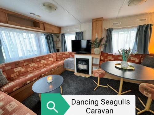 Dancing Seagulls Caravan