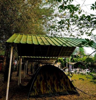 Dandeli Wild Jungle Resort
