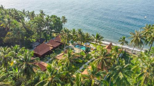Dani Beach Villa - Beachfront Villas in Penuktukan