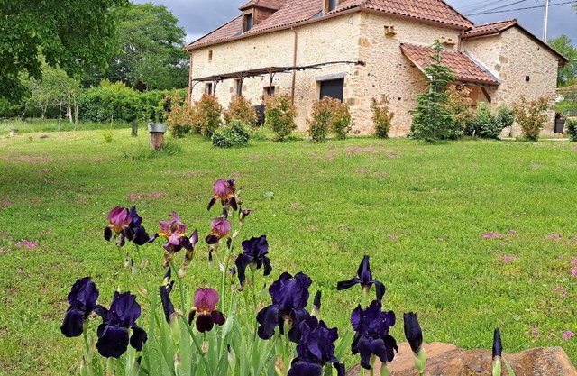 Dans le Périgord Noir, sur le Domaine de la Croix des Alignés Belle Périgourdine
