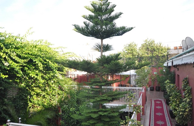 Dar Aliane