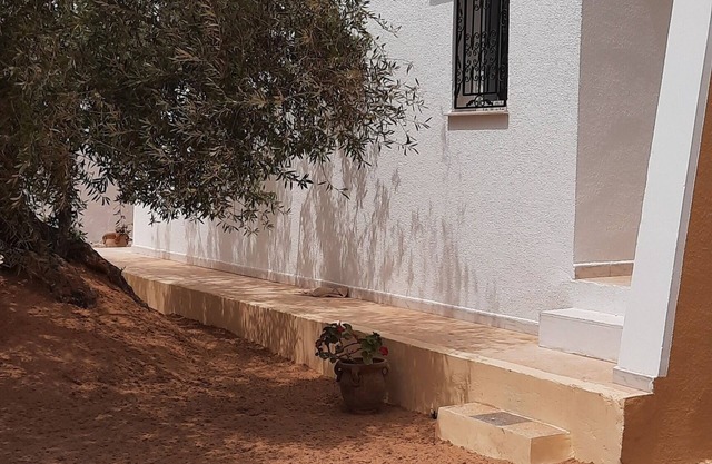 Dar El Janna 26 - the house of paradise