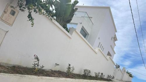 Dar Shayran