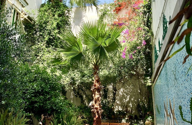 Dar Souad