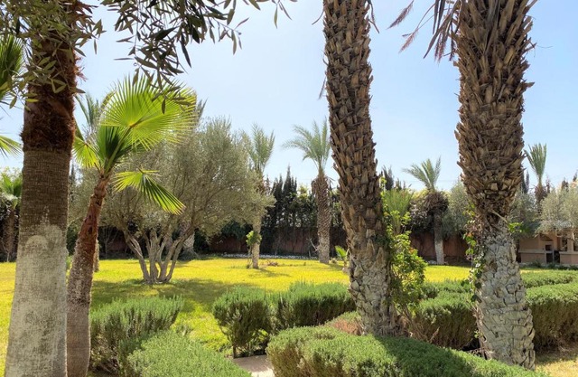 Dar YAMNA