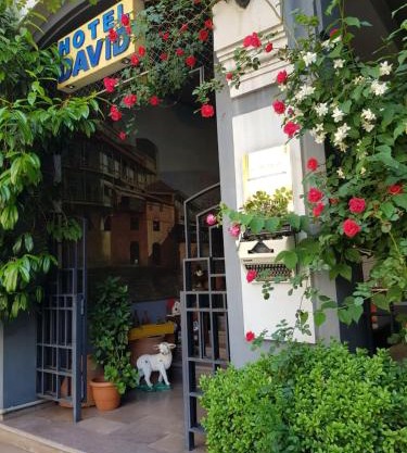 David Hotel - Ethno style