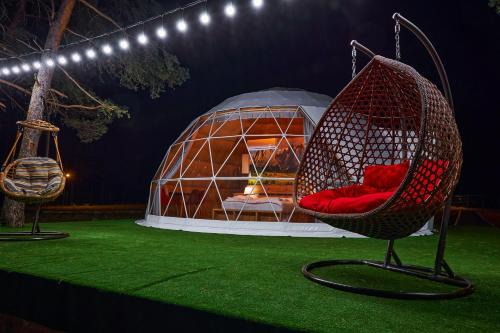 Daxvalley Glamping