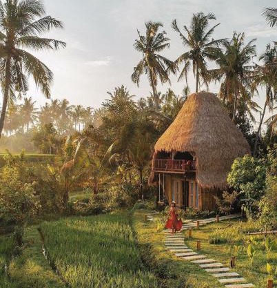 DD Bamboo Lodge