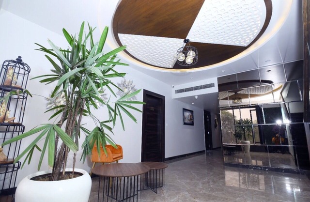 DD Suites