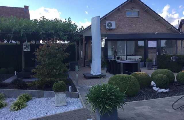 De achtertuin