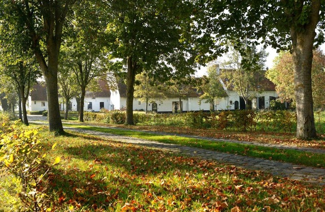De Grote Wateringe