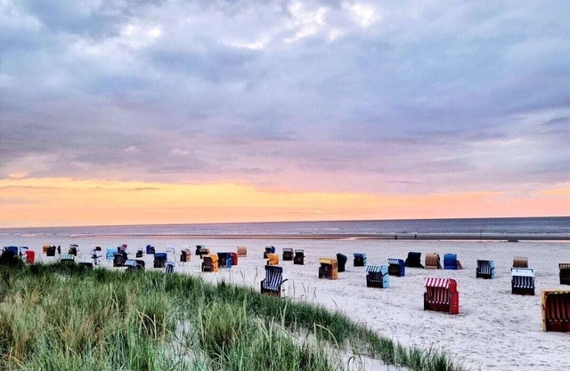 De Seekobb -Beachgoers