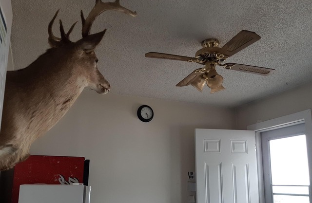 Deerhead Inn