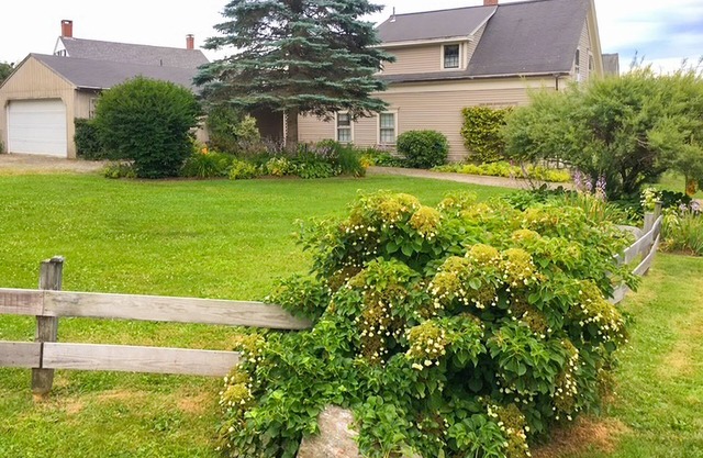 Delightful Seaside Retreat with Ocean Views, Wifi, and Private Washer & Dryer