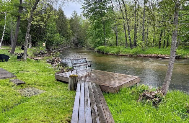 Deluxe Little Manistee River Cabin - Irons, MI