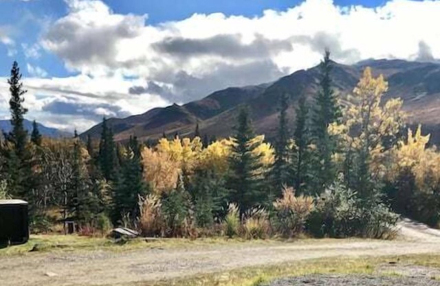 Vistas espectaculares del parque. Gran casa enclavada en el bosque 1 milla de Parks Hwy
