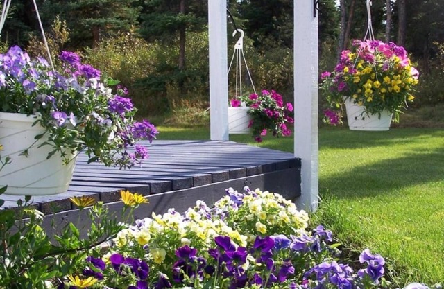 Denali Primrose B&B