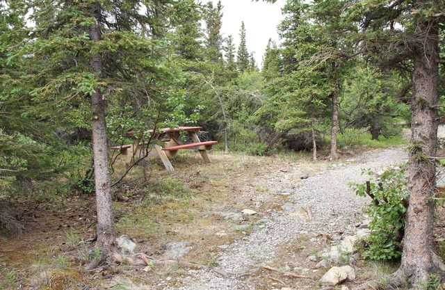 Denali RV Park and Motel