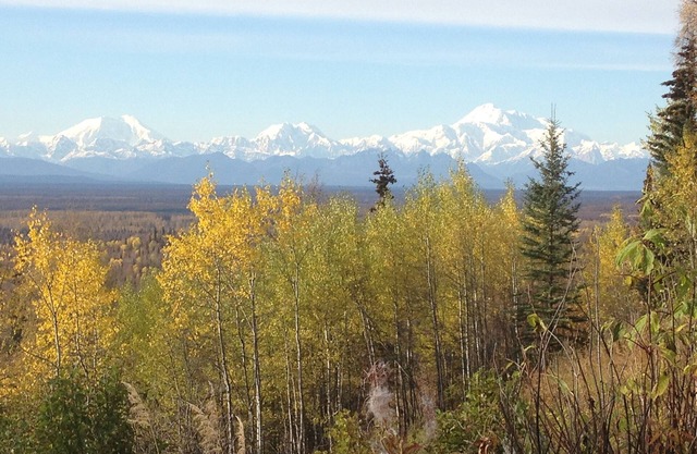 Hoteles en Denali con puntuación similar