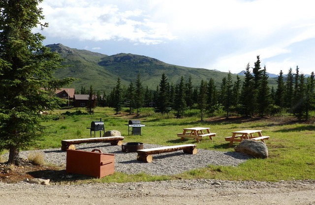 Denali Wildlife Caribou Cabin Luxury con un toque de rústico