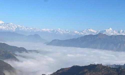 Deodar Abode