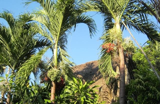 Desa Cepaka Homestay